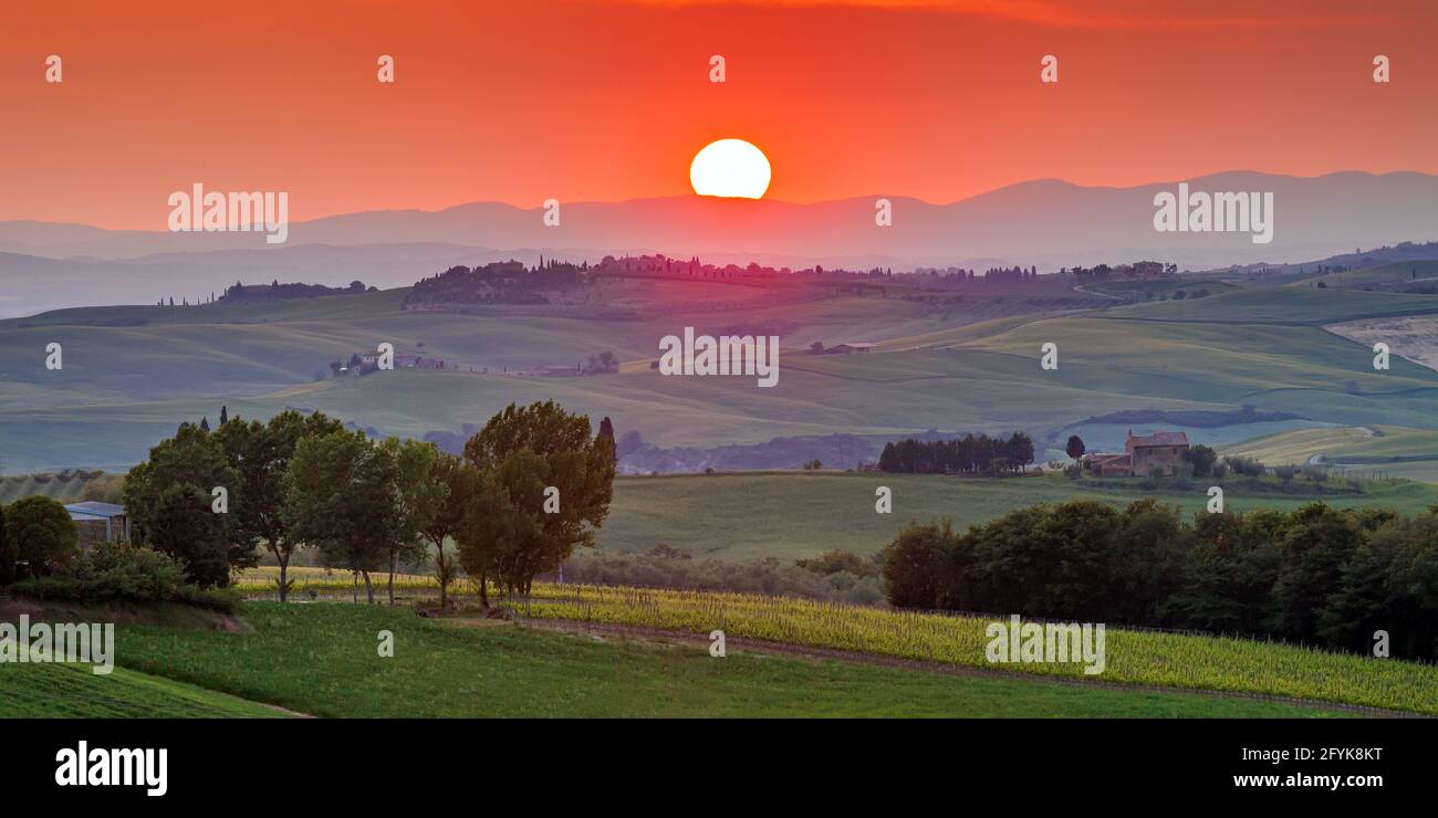Un magnifique coucher de soleil dans la vallée du Val d'Orcia, Toscane, Italie. Banque D'Images