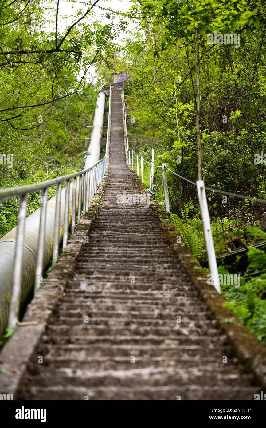 Une personne grimpant un escalier sans fin dans une forêt Banque D'Images