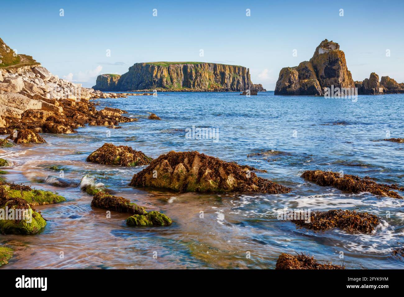 Larry Bane Head & Sheep Island au cours d'une belle matinée d'été sur la côte nord d'antrim, en Irlande du Nord. Banque D'Images
