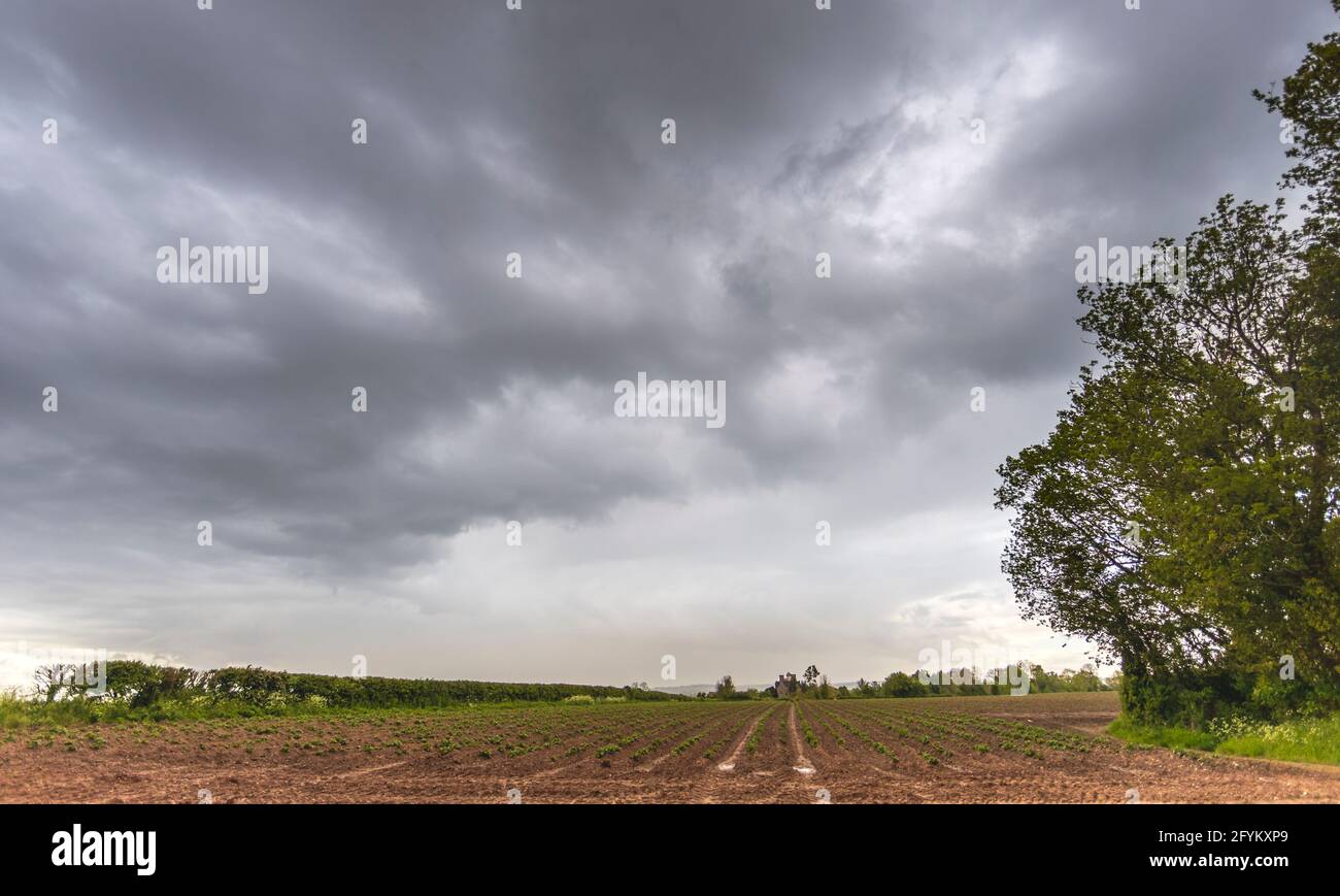 Naas House. Lydney Dock, Forêt de Dean. ROYAUME-UNI Banque D'Images