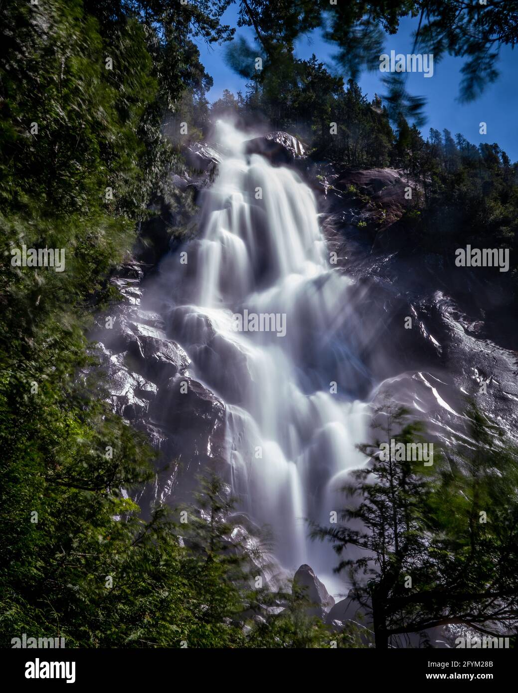 L'eau du ruisseau Shannon descend vers les chutes Shannon près de Squamish, en Colombie-Britannique, au Canada Banque D'Images