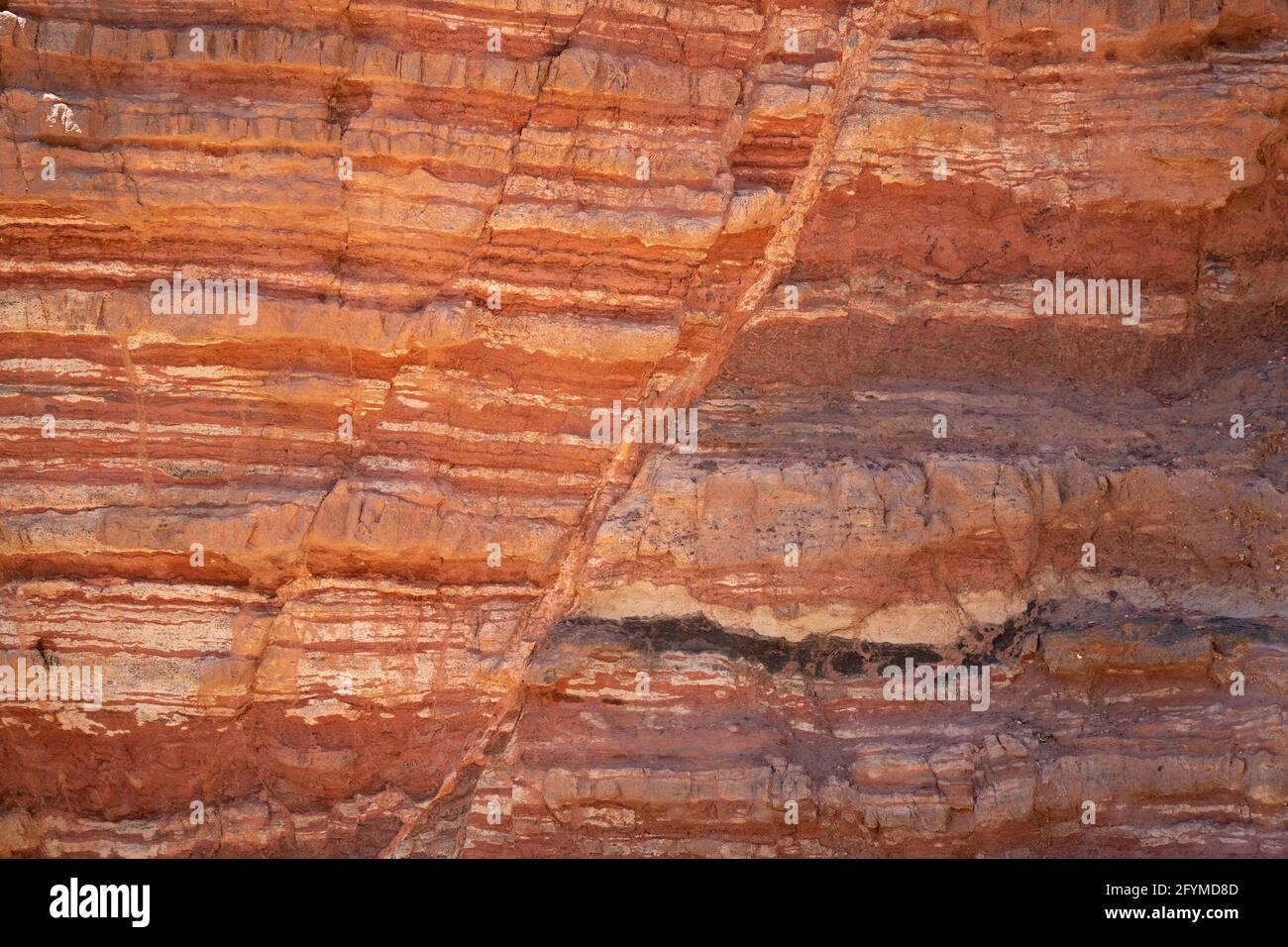 Roches sédimentaires rouges avec des failles dans leurs couches, dans le Red Canyon près d'Eilat, Israël. Banque D'Images