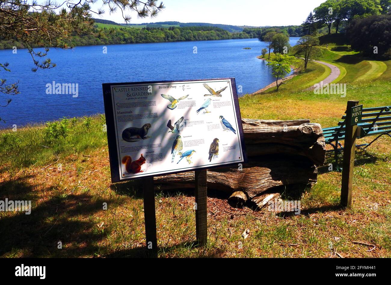 Castle Kennedy Gardens & Gardens, Dumfries & Galloway, Écosse en 2021 - Viwpoint 6, l'un des nombreux sites marqués. Le tableau d'affichage montre les oiseaux et la faune qu'il est possible de voir y compris les écureuils roux Banque D'Images