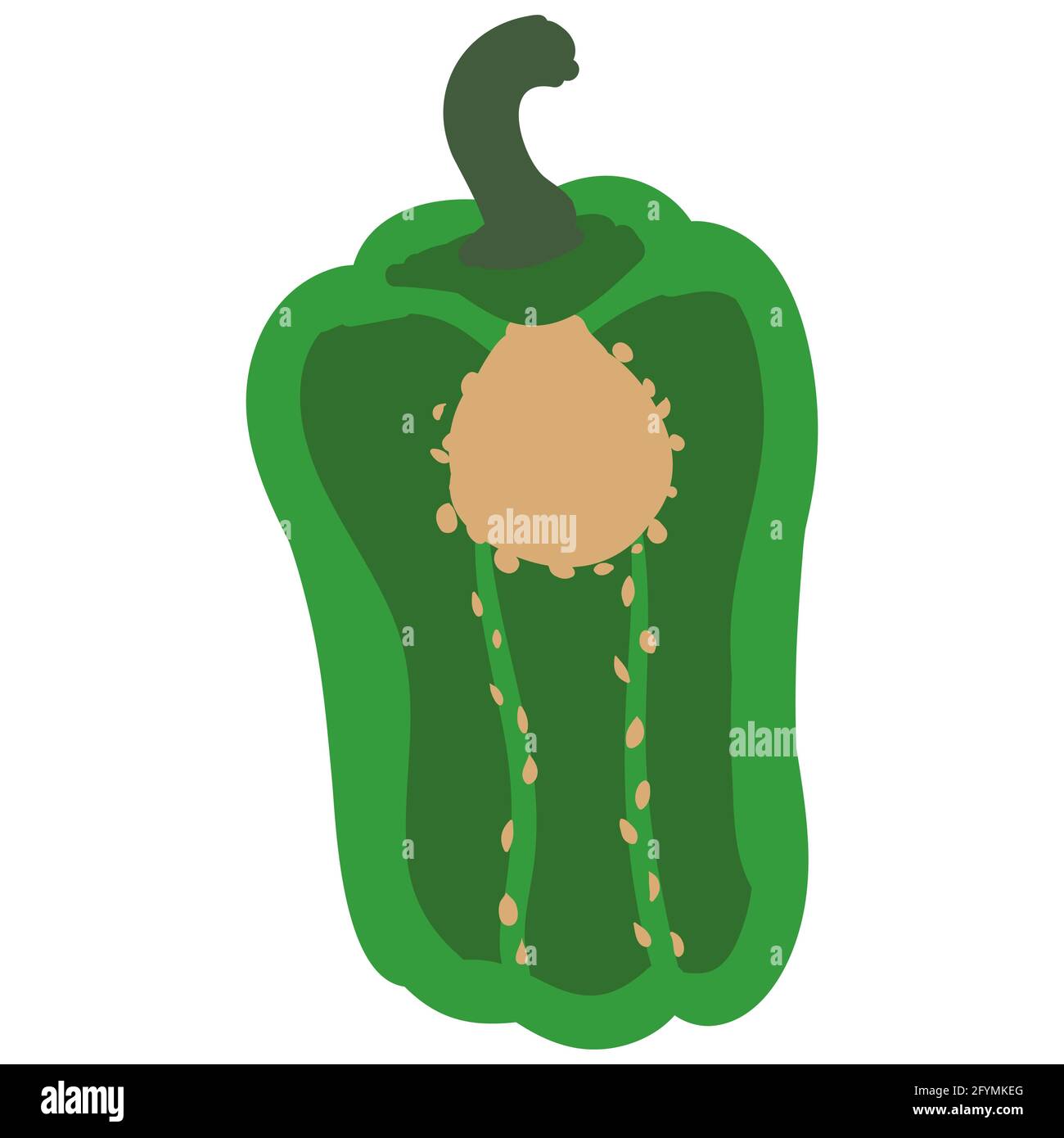 Bell Pepper vert saine alimentation biologique, moitié coupé. Dessin animé vectoriel plat tendance illustration tirée à la main isolée Illustration de Vecteur