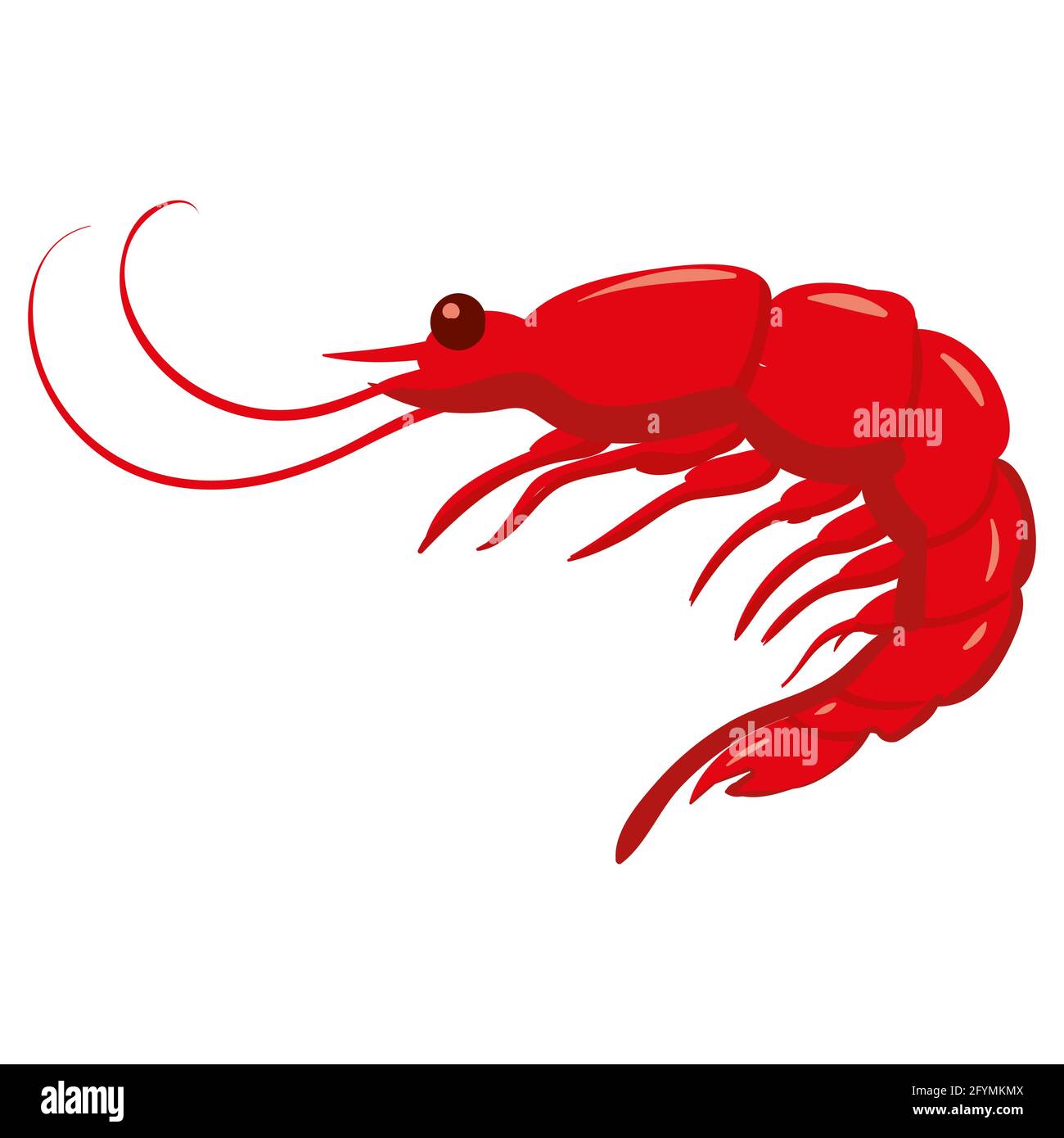 Crevettes, produit alimentaire naturel sain et biologique, crevettes. Dessin animé plat à la main dessin à la main isolé Illustration de Vecteur