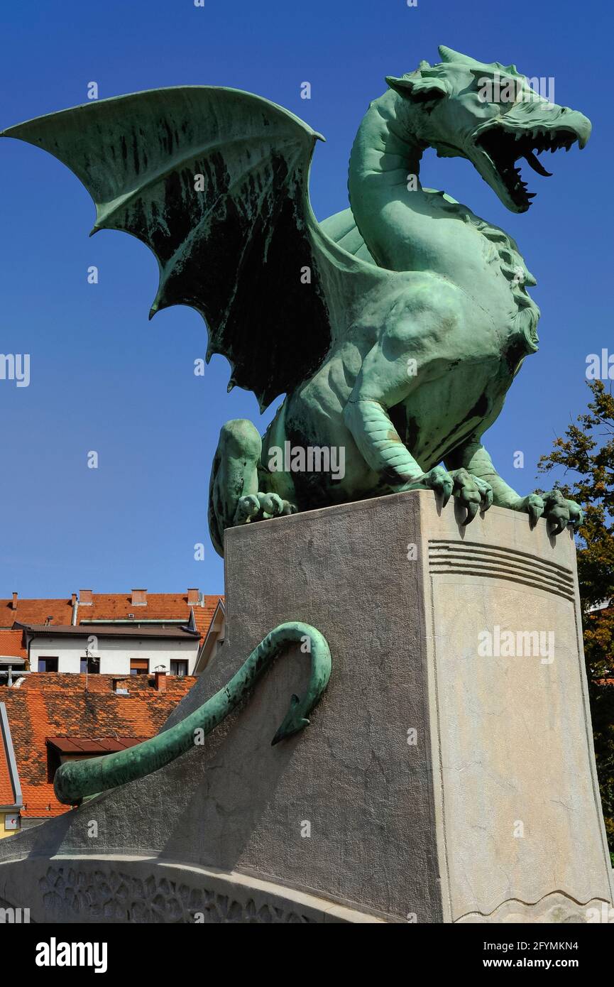 L'une des quatre dragons verts féroces avec des ailes étirées, des pieds clavetés et des fangs tranchants qui gardent le pont du Dragon au-dessus de la rivière Ljubljana, en Slovénie. Ils figurent parmi les sites les plus populaires de la ville, en partie à cause de la revendication (non prouvée) selon laquelle ils se désalissent ou se remuent la queue chaque fois qu'une vierge traverse le pont. Les monstres mythiques, faits à Vienne de cuivre, ont été conçus par l'architecte et ingénieur Jurij Zaninović pour le pont, qui a ouvert en 1901. Le dragon est l'emblème officiel de Ljubljana, qui se présente sur les armoiries et le drapeau de la ville et même sur les couvercles de trous d'homme municipaux. Banque D'Images