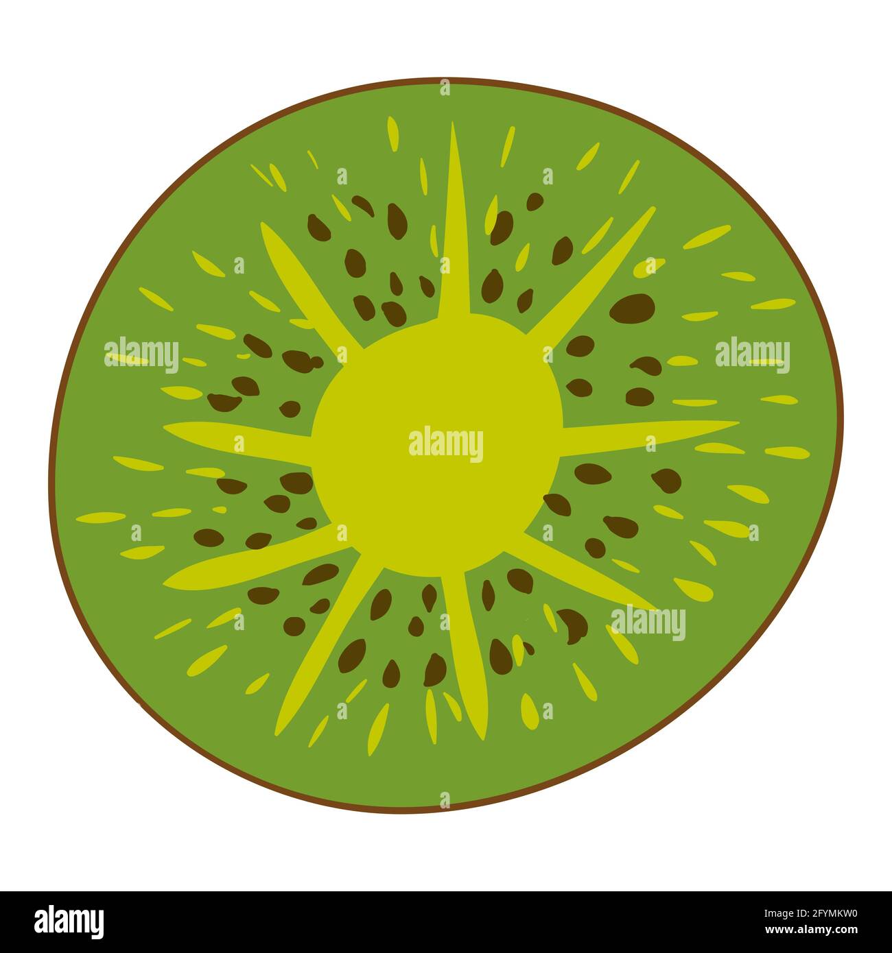 Tranche de kiwi, produit alimentaire naturel sain et biologique. Dessin animé plat à la main dessin à la main isolé Illustration de Vecteur