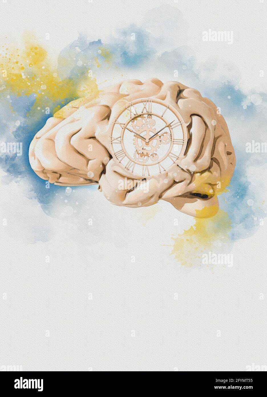 Vieillissement Du Cerveau Banque d'image et photos - Alamy