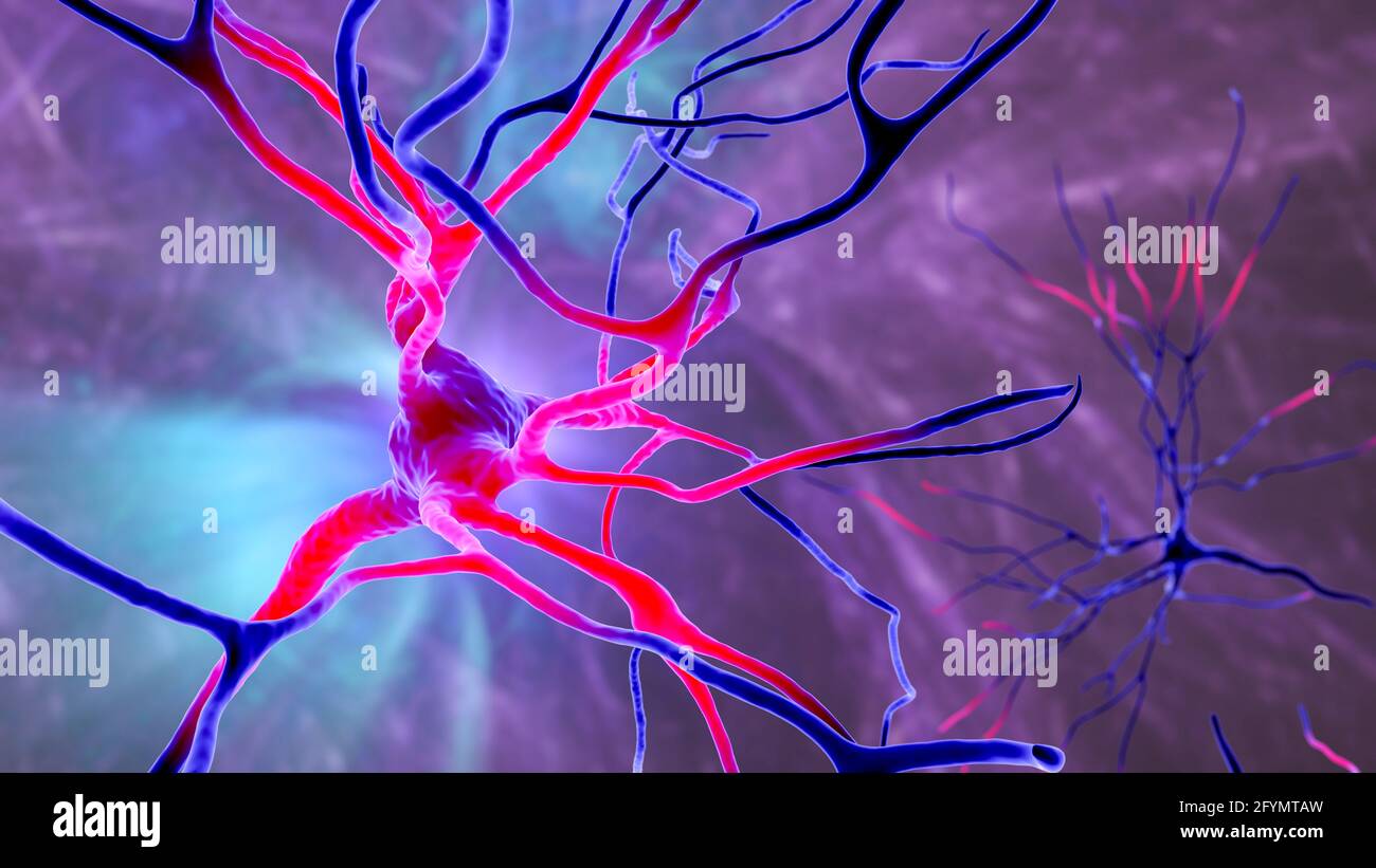 Cellules nerveuses du cerveau humain, illustration Banque D'Images