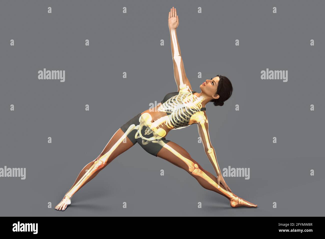 Femme en posture de yoga triangle, illustration Banque D'Images