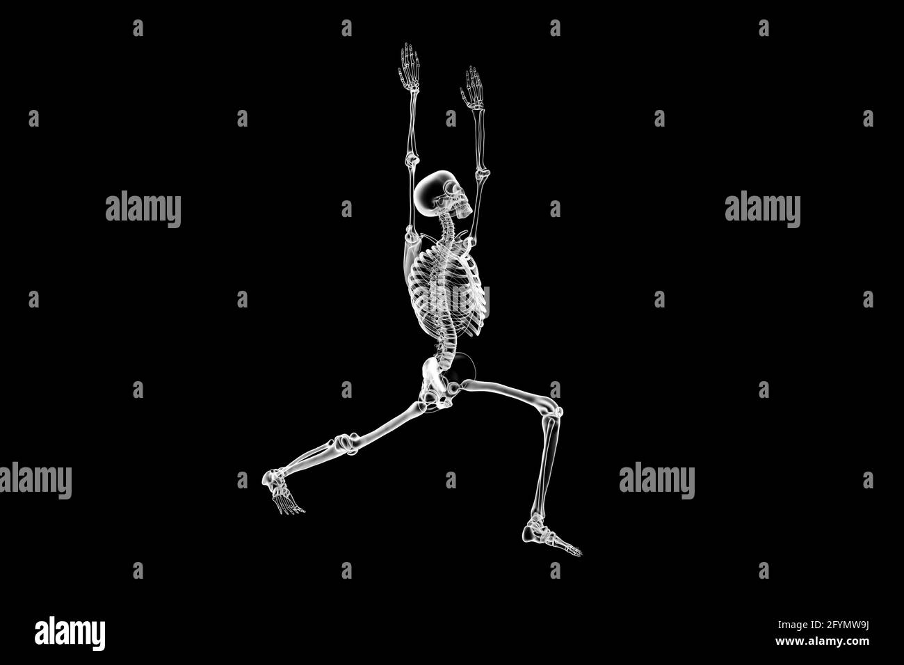 Squelette en guerrier 1 pose de yoga, illustration Banque D'Images