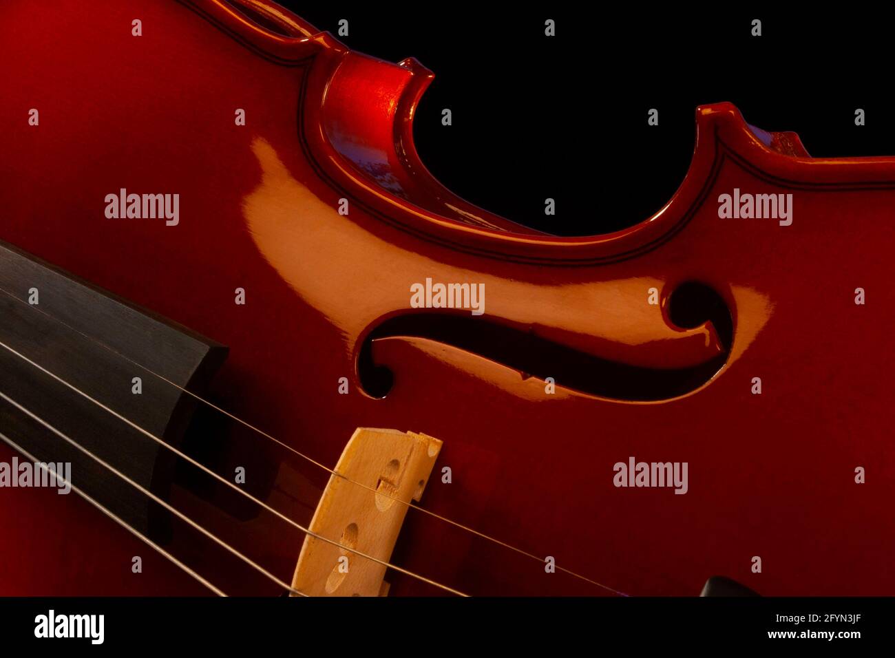 Gros plan d'une partie d'un violon sur fond noir montrant la taille, le pont, le trou de f et une partie de la fingerboard et des cordes Banque D'Images