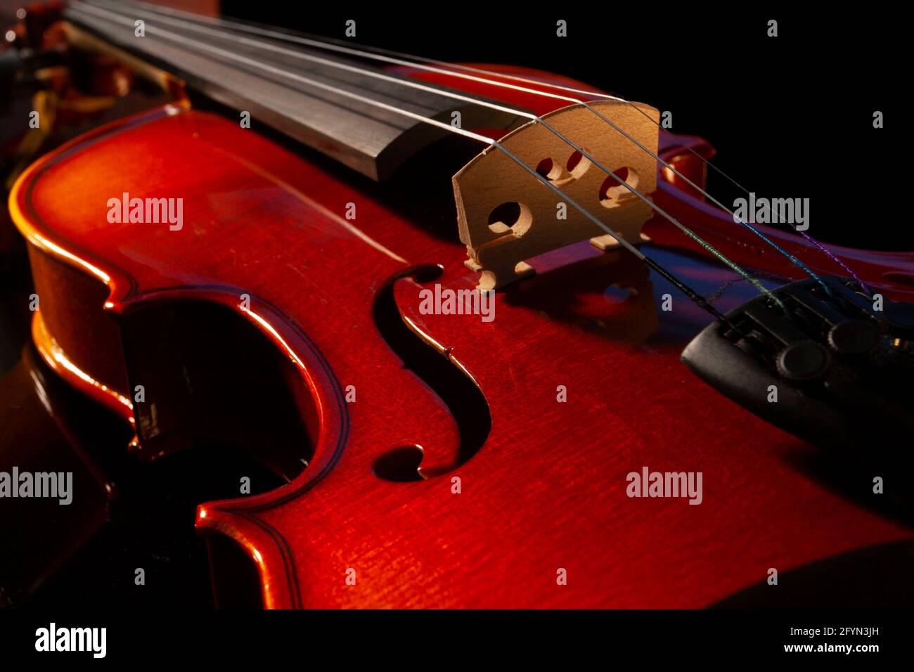 Gros plan d'une partie d'un violon sur fond noir montrant la taille, le pont, le trou de f et le fingerboard Banque D'Images
