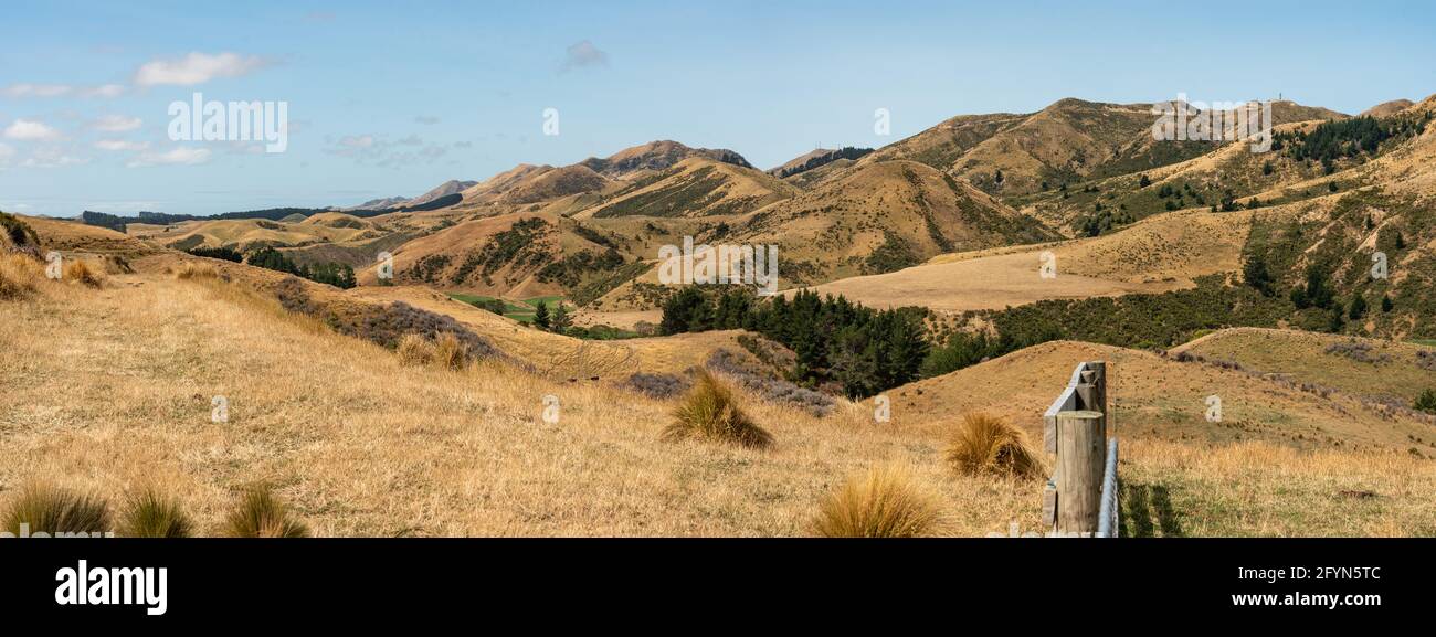 Terres agricoles et collines rurales sèches dans le district de Marlborough, île du Sud de la Nouvelle-Zélande Banque D'Images