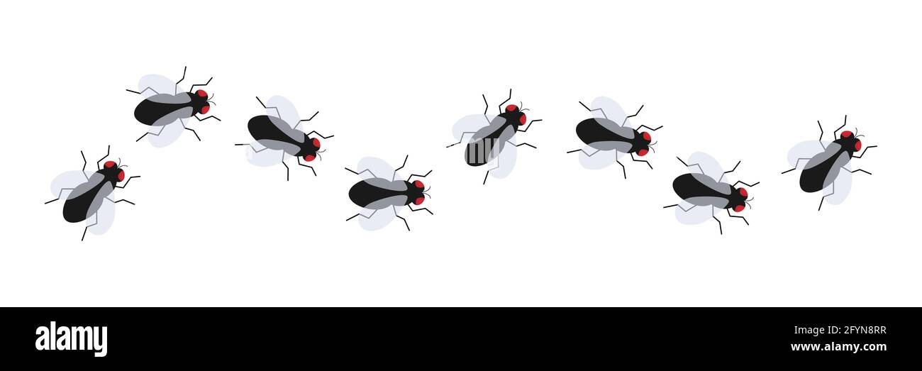 Jeu d'icônes d'insectes volants. Les petites mouches sont alignées. Vecteur isolé sur fond blanc. Illustration de Vecteur