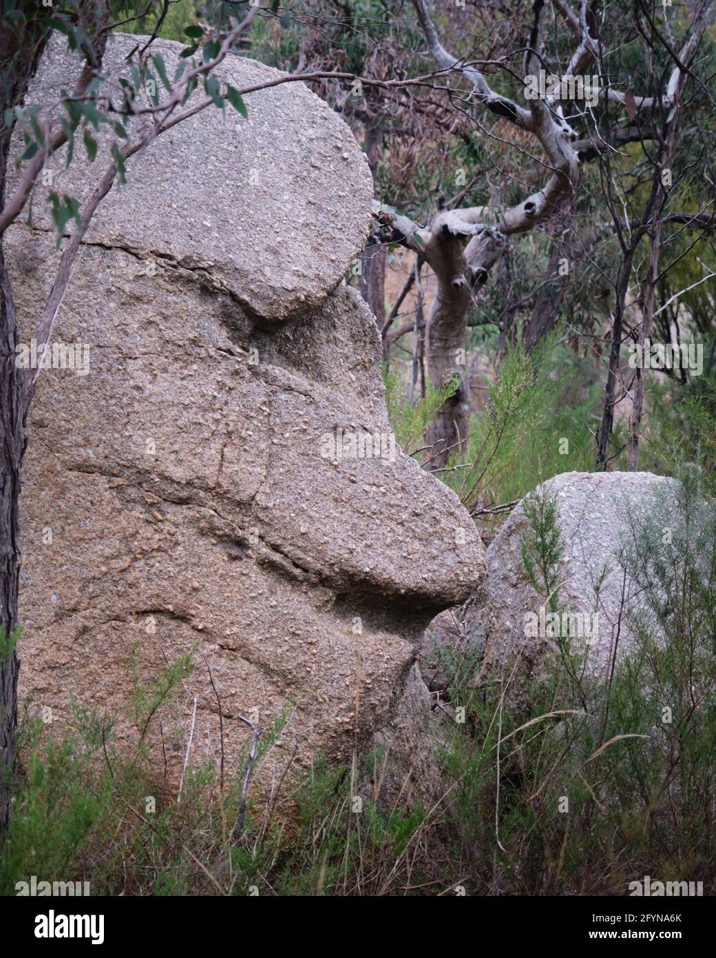 Un Rock Face Banque D'Images