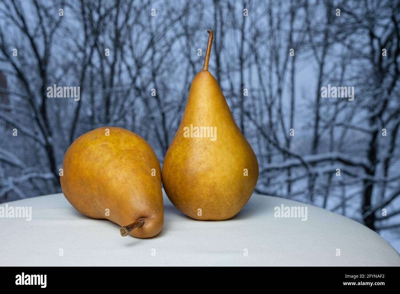 Deux poires avec un fond naturel d'hiver d'arbres enneigés Banque D'Images