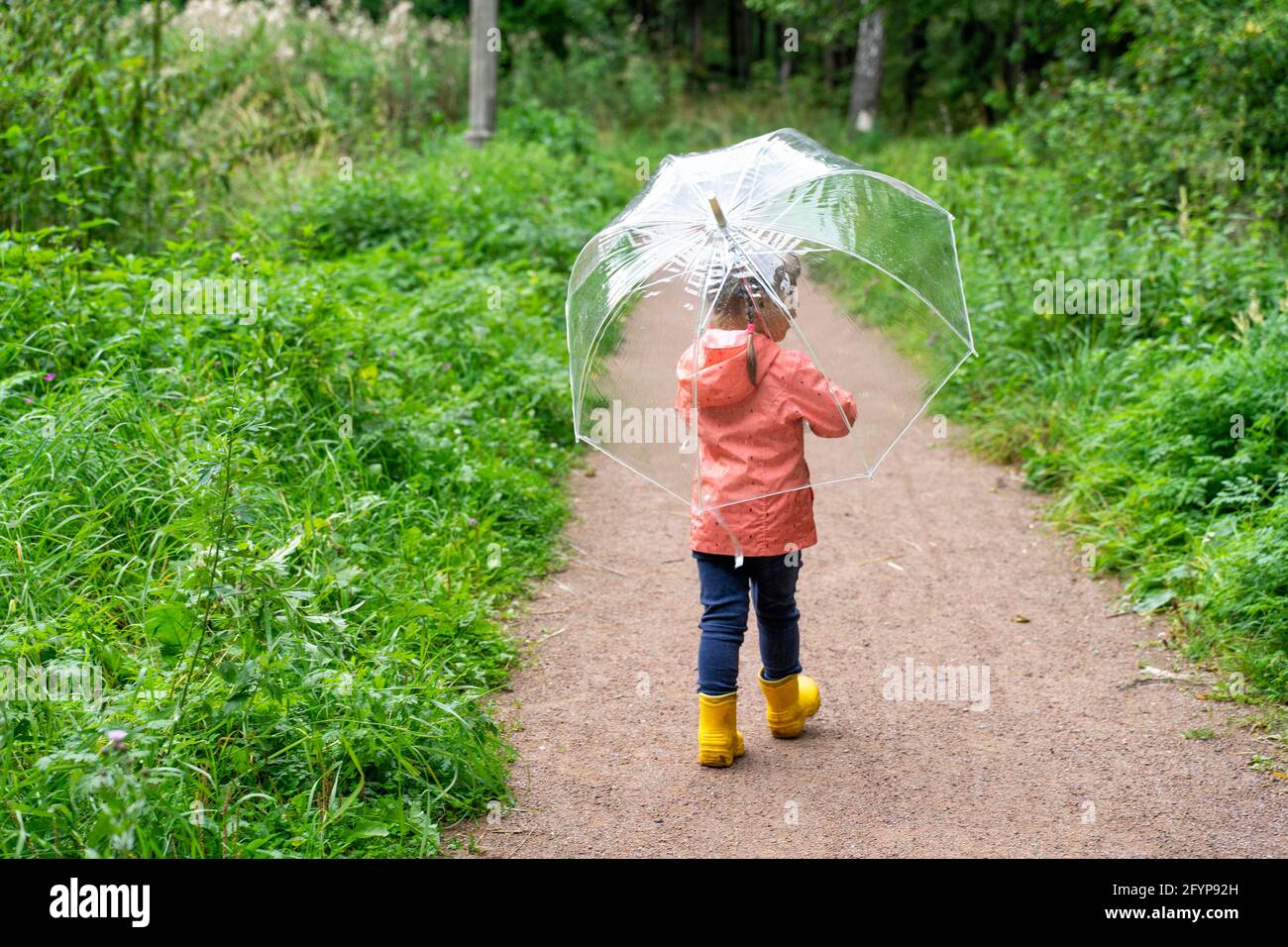 enfant marchant dans le parc avec un parasol transparent un jour pluvieux  Photo Stock - Alamy