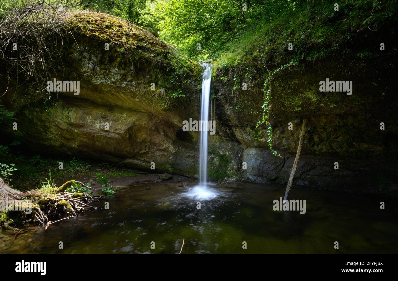 Belle chute d'eau dans la forêt. L'Eco-Trail Secret Waterfles à Sakar Mountain, Bulgarie au printemps. Paysage forestier vert près de Malko Gradishte Banque D'Images