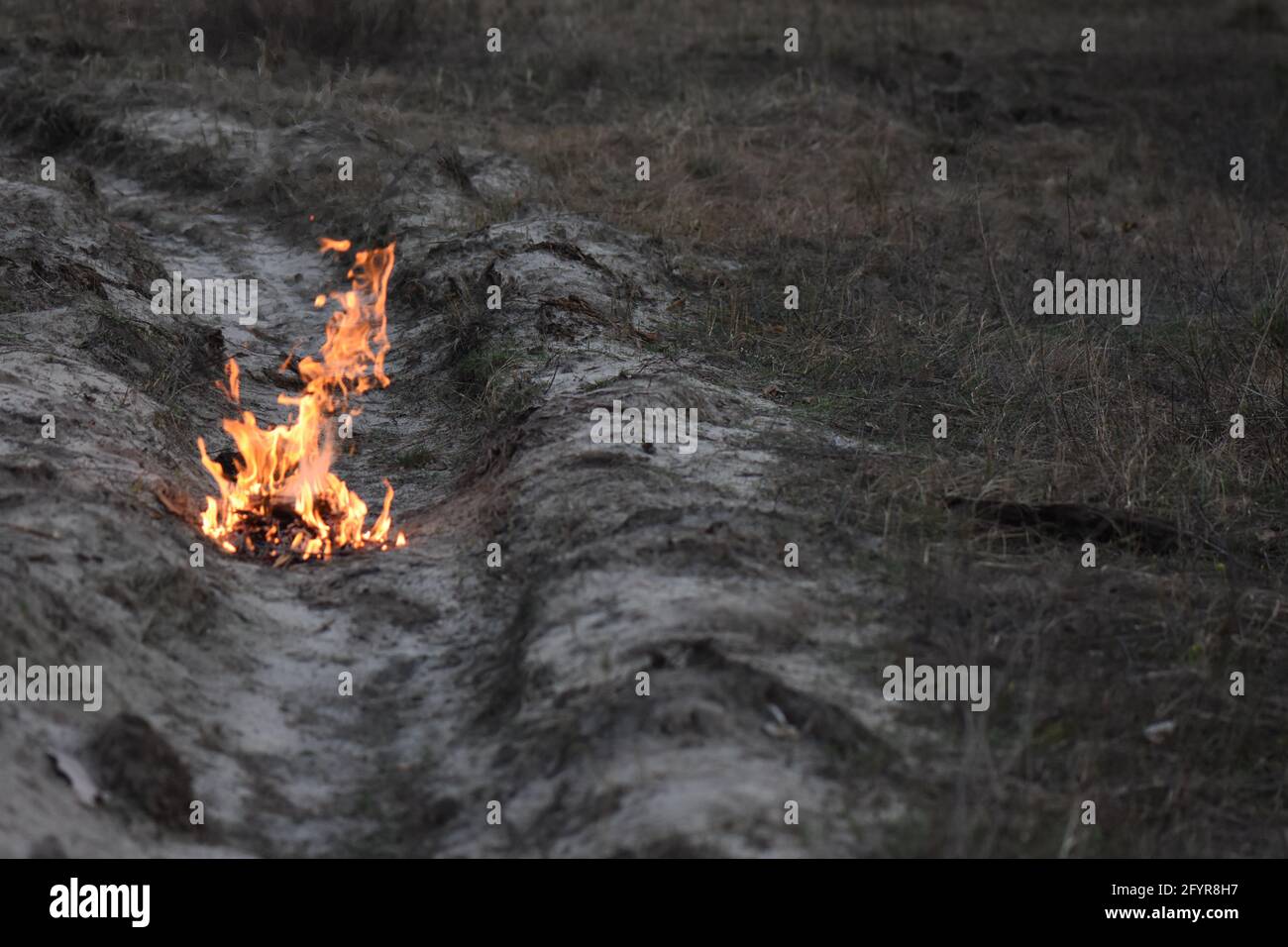Le feu flamboyant de brindilles brûlantes et de bois de chauffage sur le champ sec Banque D'Images
