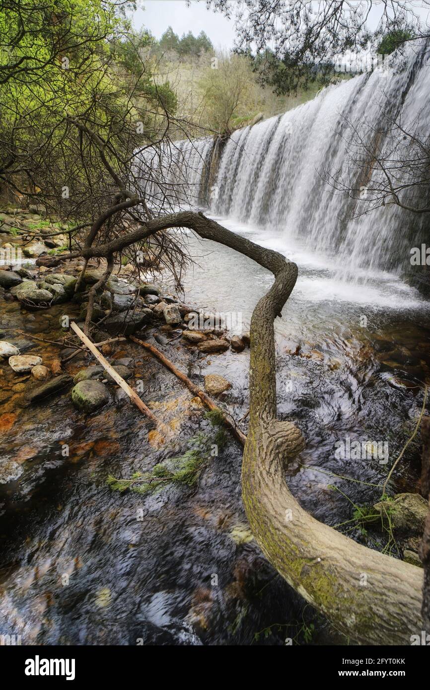 Un tronc d'arbre est tombé sur l'eau qui s'écoule du montagnes Banque D'Images
