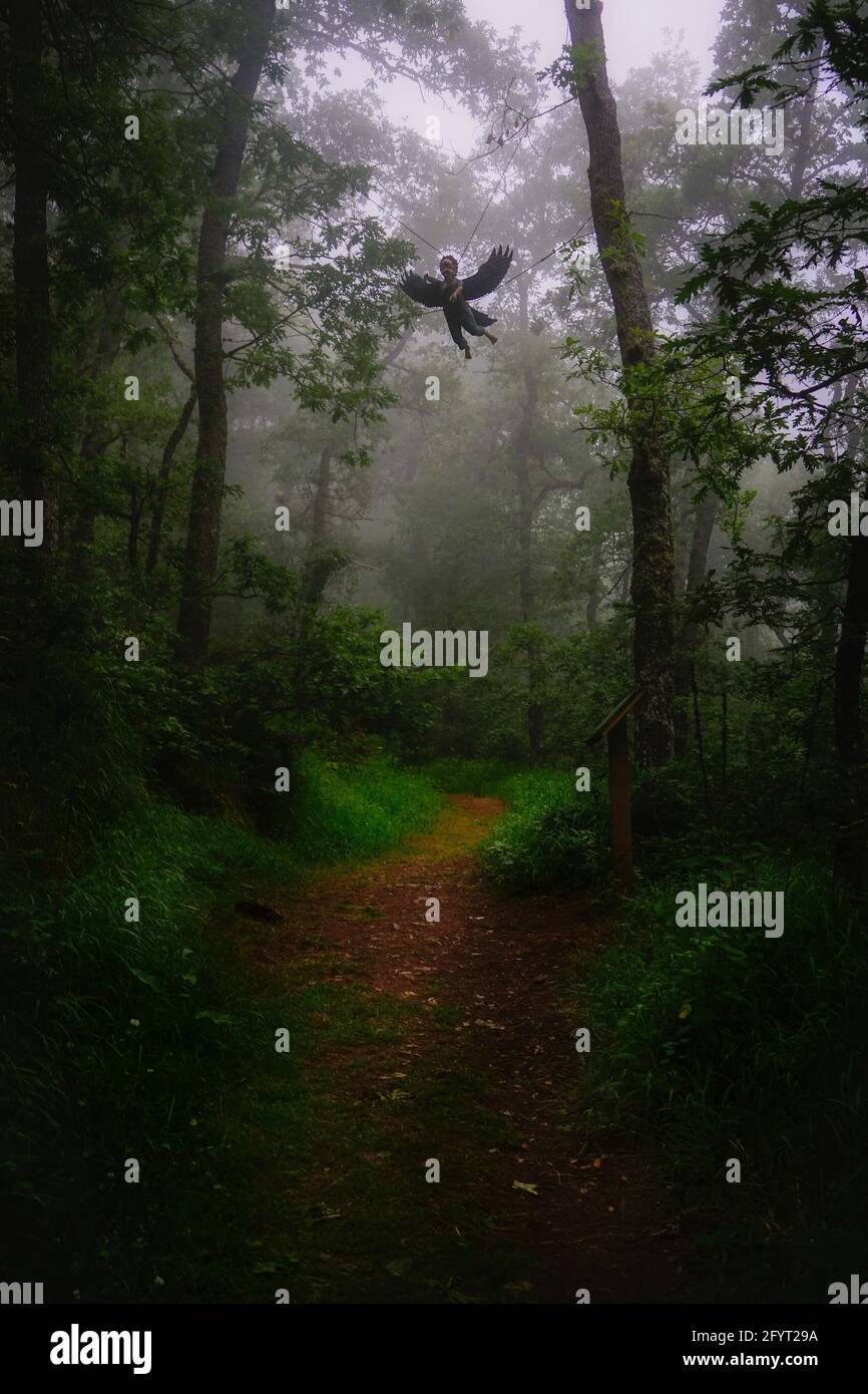 Une forêt sombre sombre sombre sombre sur une journée de brouillard avec un ange volant suspendu sur un arbre Banque D'Images