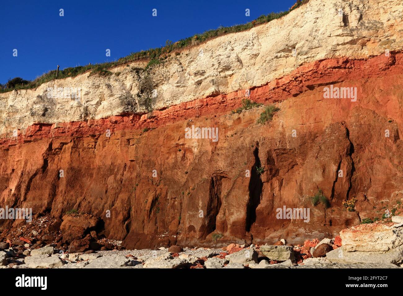 Géologie, Crétacé, sédimentaire, roche, formation, Hunstanton Cliffs, Norfolk, Angleterre, Royaume-Uni 3 Banque D'Images