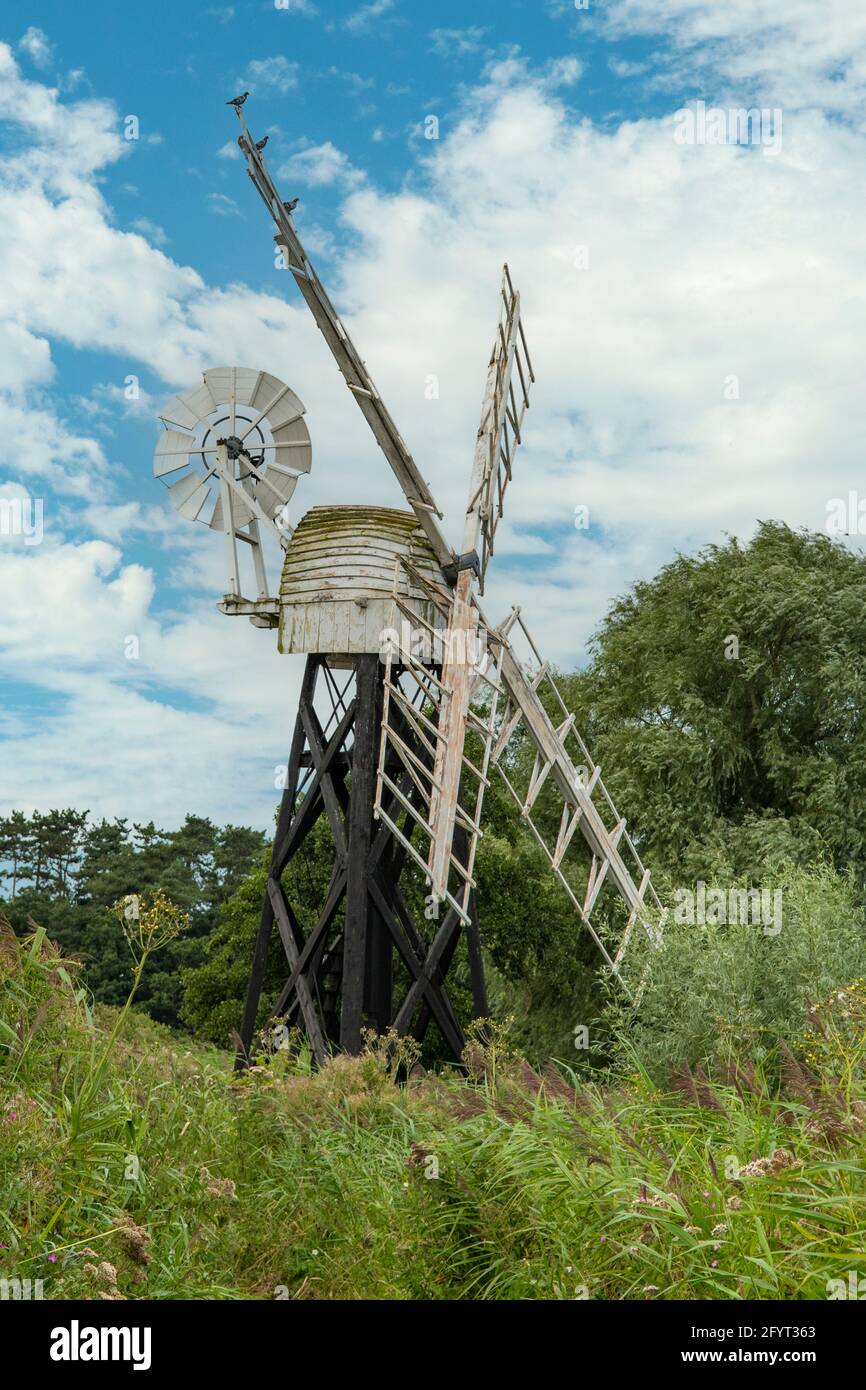 Le moulin de Boardman, comment Hill, Norfolk, Angleterre Banque D'Images