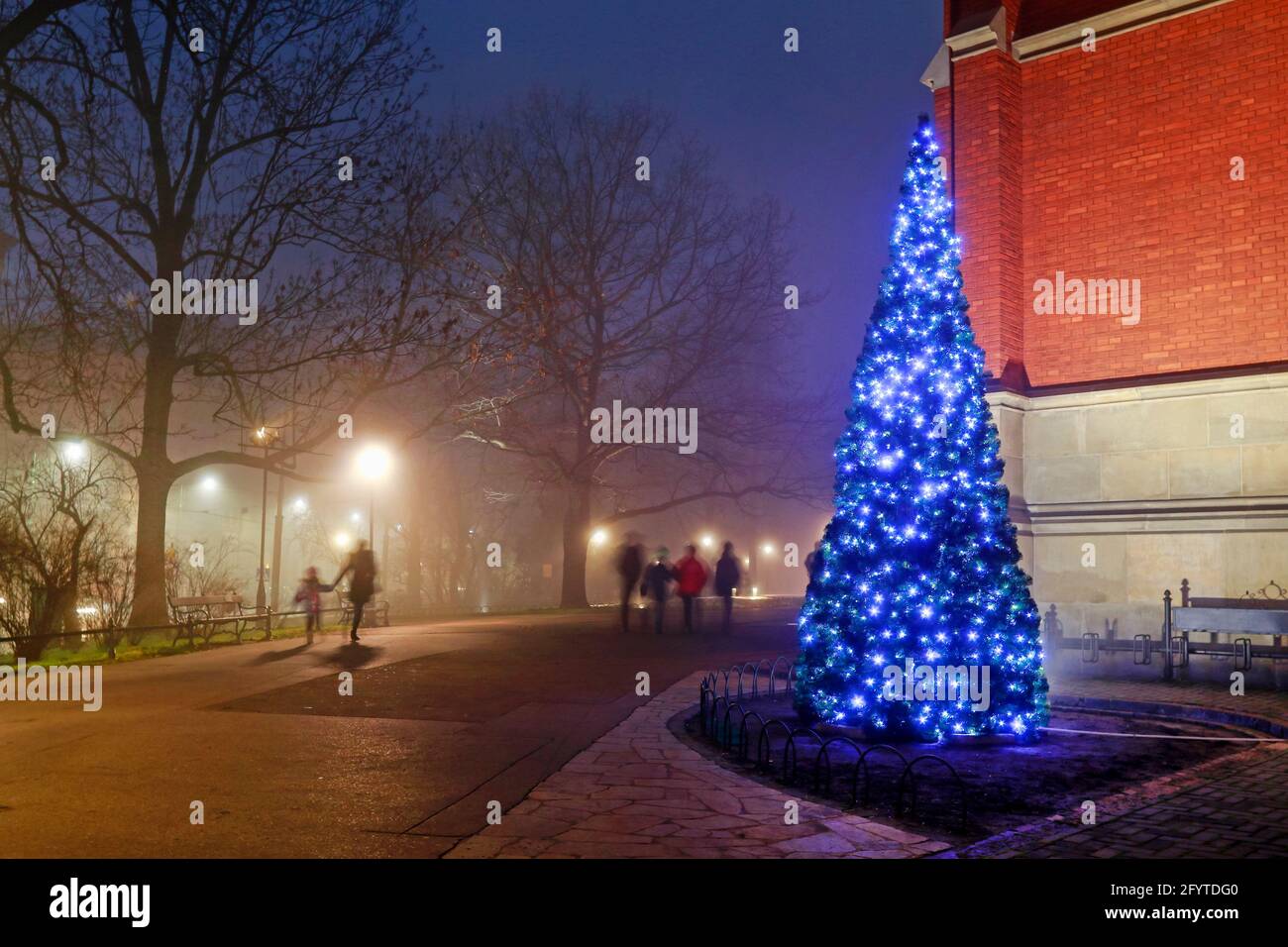 Arbre de noël traditionnel à Cracovie, Pologne. Banque D'Images