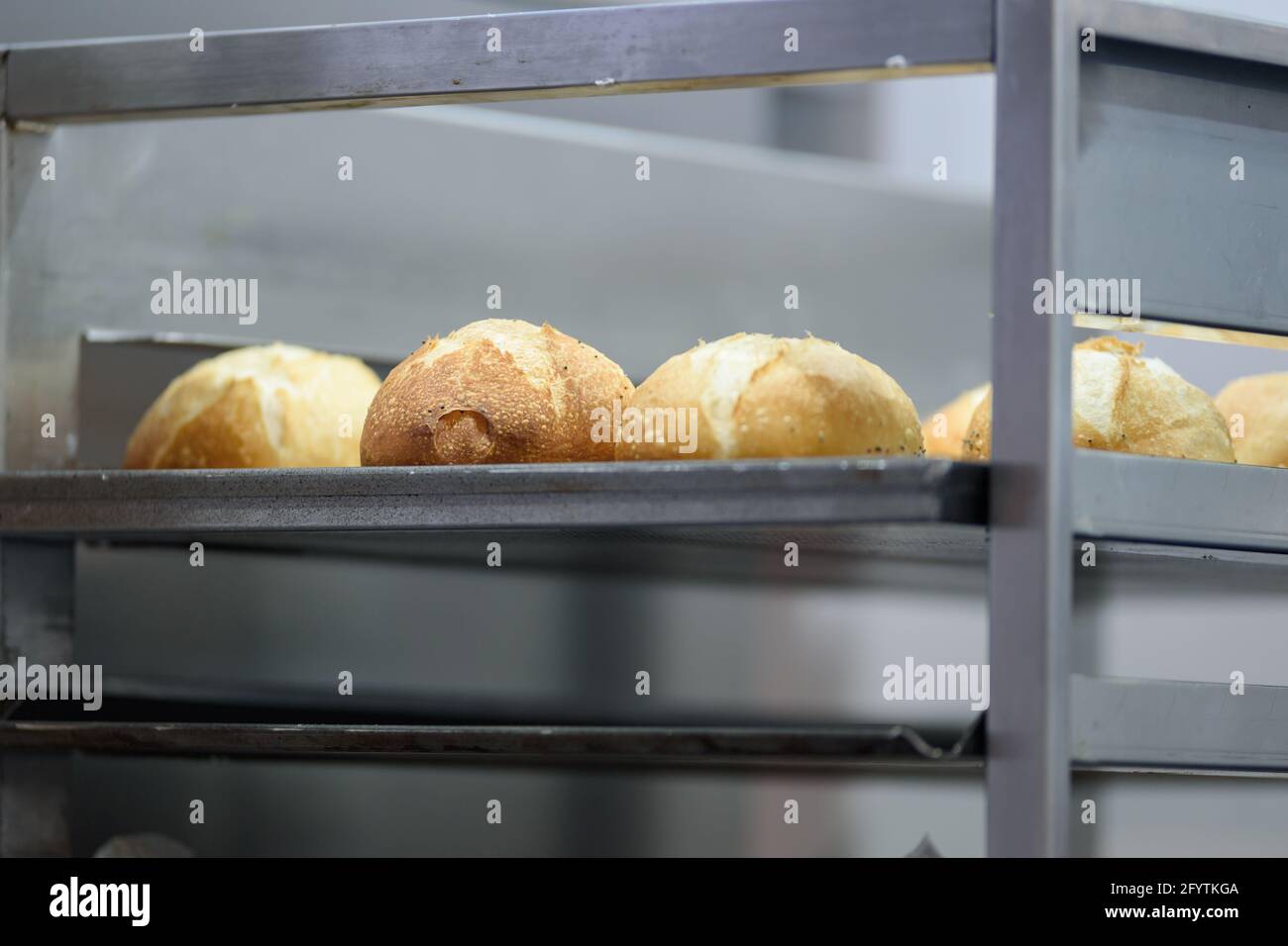 Petits pains frais et savoureux sur une plaque de cuisson dans la boulangerie Banque D'Images