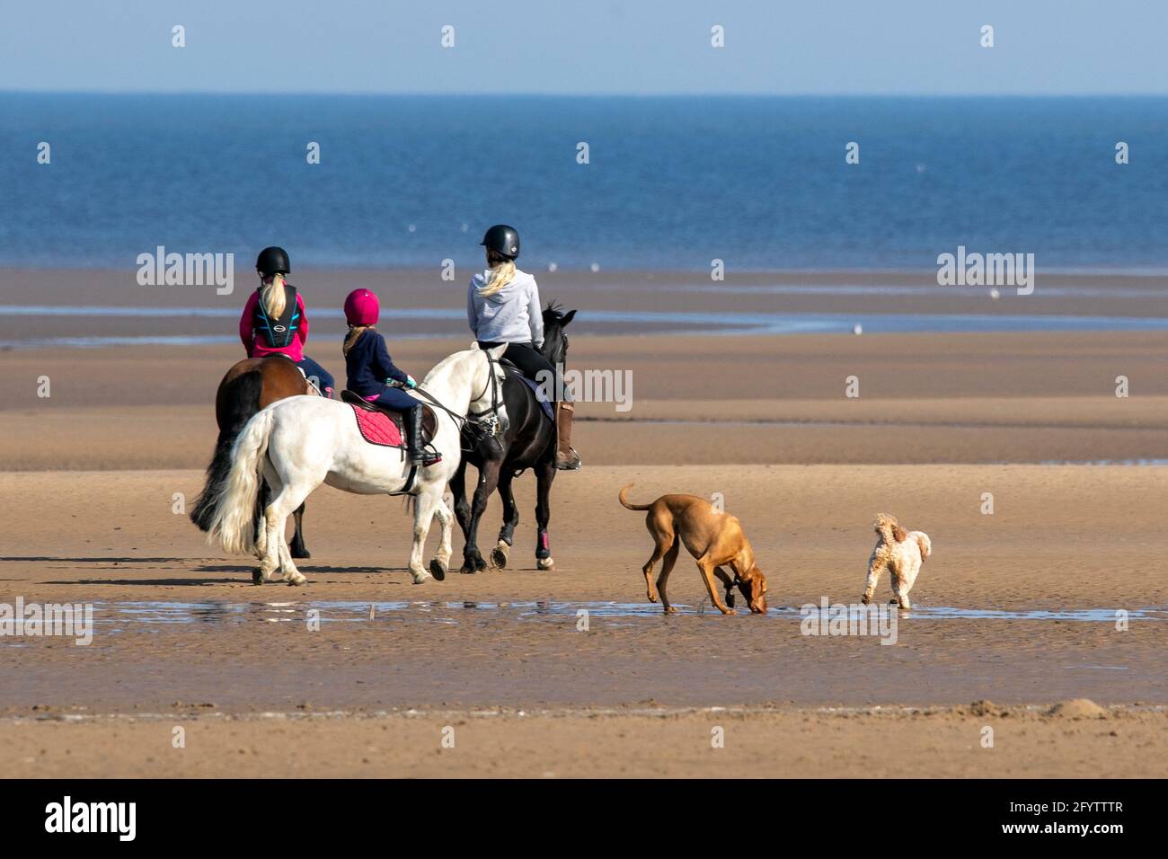 Southport, Merseyside, 30 mai 2021. Les gens au bord de la mer à Southport profitent d'une journée de beau soleil et de ciel bleu clair lors d'un magnifique week-end de Bank Holiday. Crédit : Cernan Elias/Alay Live News Banque D'Images
