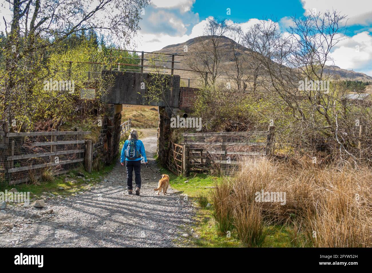 Un marcheur passe sous le pont ferroviaire sur le chemin jusqu'à un Caivol près de Crianlarich, en Écosse, avec Sron Garbh visible en arrière-plan Banque D'Images