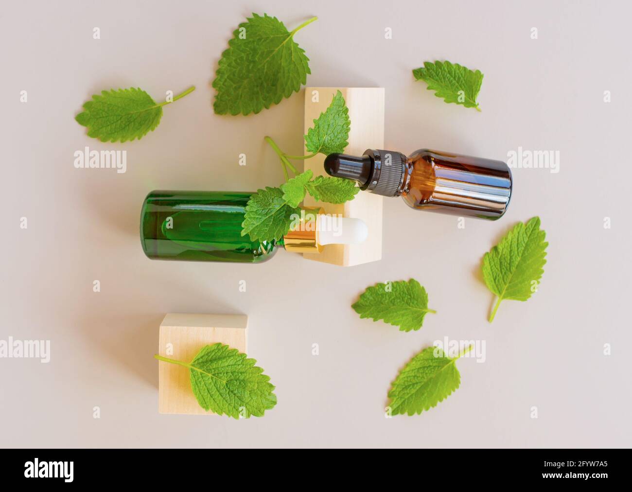 Vue de dessus des feuilles de menthe verte fraîche ou de menthe verte et des bouteilles compte-gouttes en verre d'huile essentielle de menthe sur fond gris. Plantes naturelles médecine aromatique p Banque D'Images