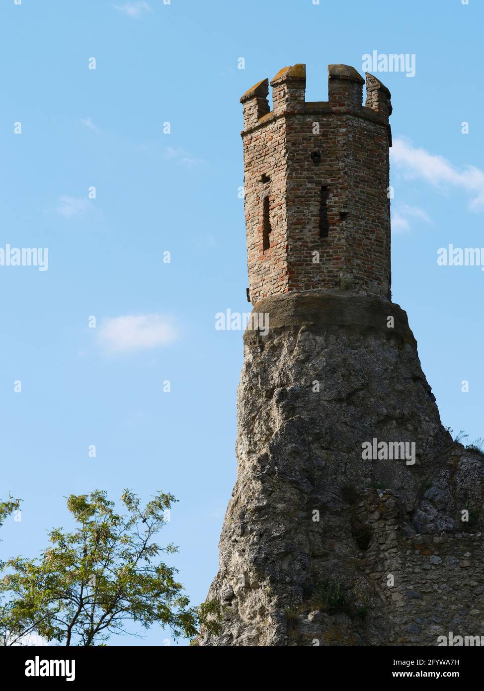 Tour en ruine du château de Devín sur une falaise rocheuse au-dessus de Bratislava, Slovaquie, sous un ciel bleu. Banque D'Images
