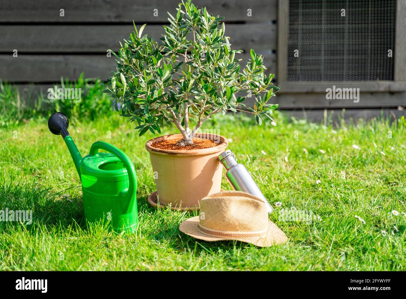 Arrosoir en plastique, plante à la maison en pot, chapeau de paille et  bouteille d'eau sur l'herbe Photo Stock - Alamy