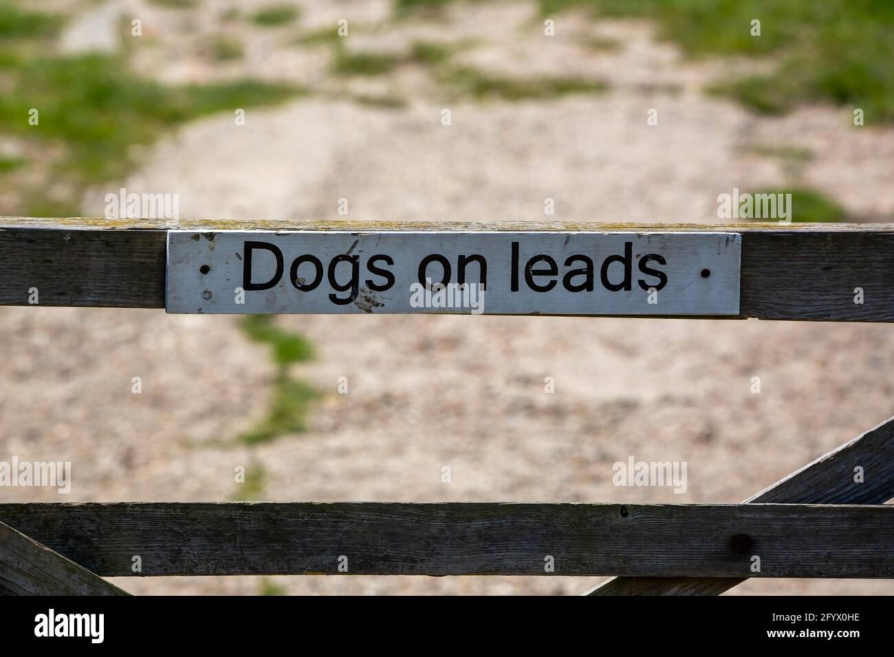 Un panneau sur une porte en bois dans la campagne de lecture chiens sur les fils Banque D'Images