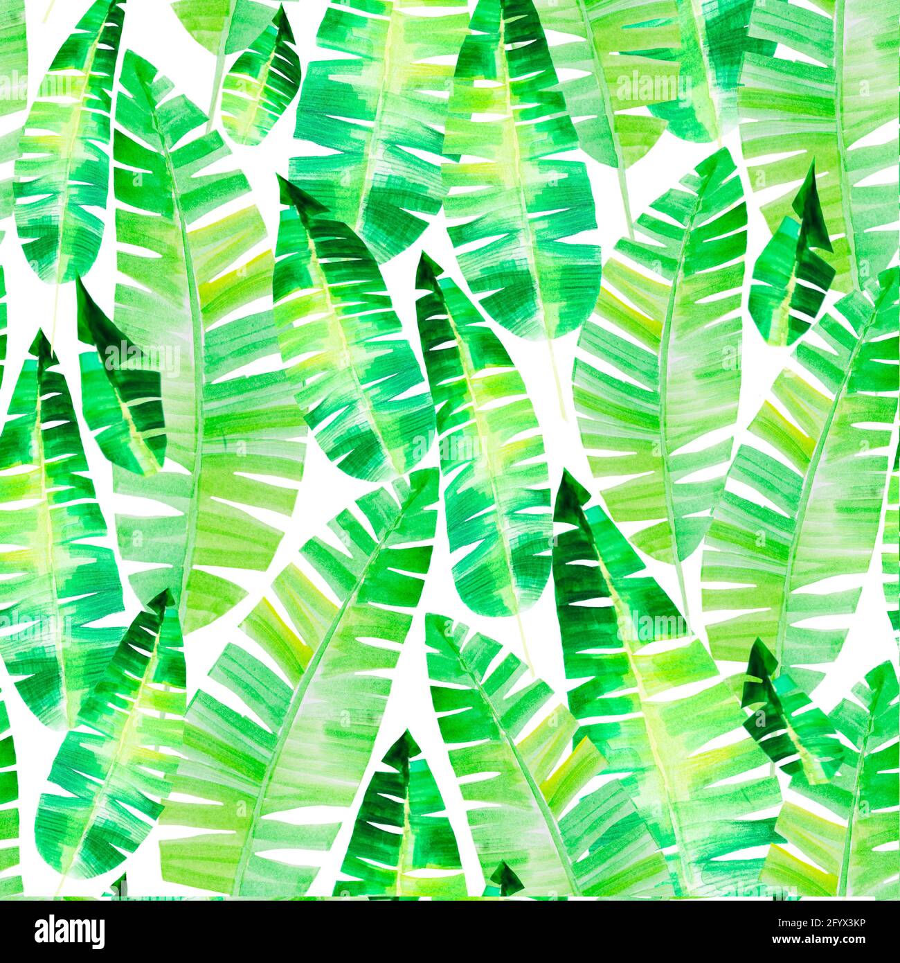 Motif aquarelle sans couture provenant de feuilles tropicales vertes. Une forêt tropicale. Illustration Banque D'Images