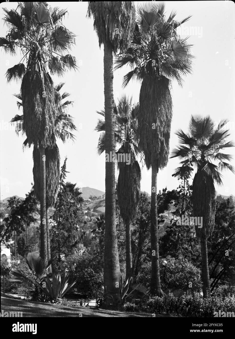 Vue de Burton Holmes Estate Topside, Hollywood, CA, CA 1950 Banque D'Images