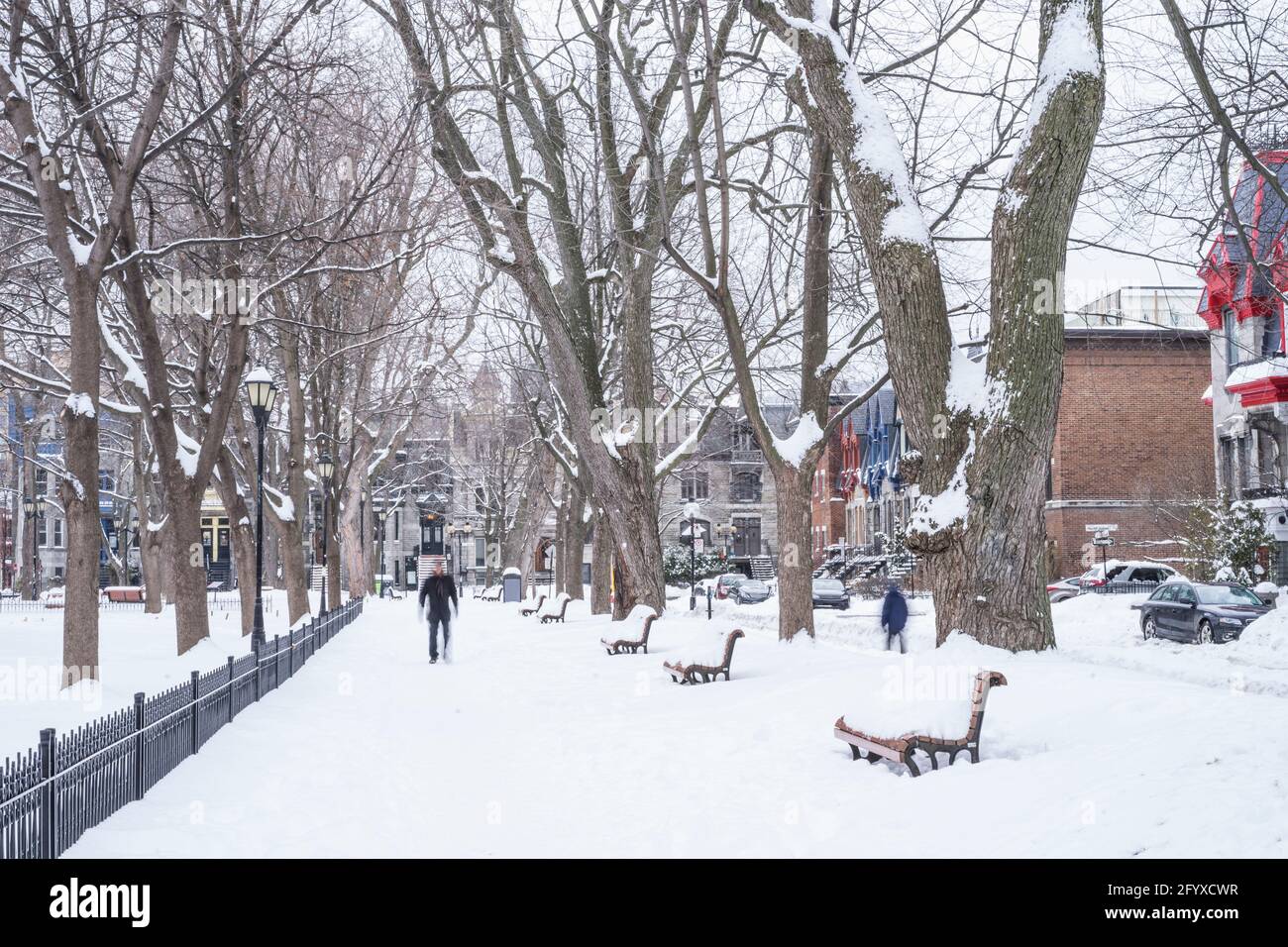 Les rues pendant la saison d'hiver, Montréal, Québec, Canada Photo Stock -  Alamy