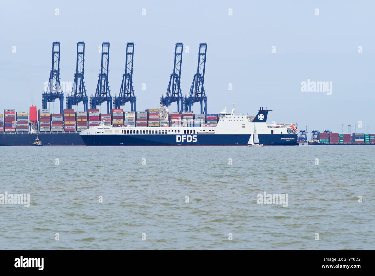 RO-RO (Roll On - Roll Off) navire de cargaison Gardenia Seaways entrant dans le port de Felixstowe, Suffolk, Royaume-Uni. Banque D'Images