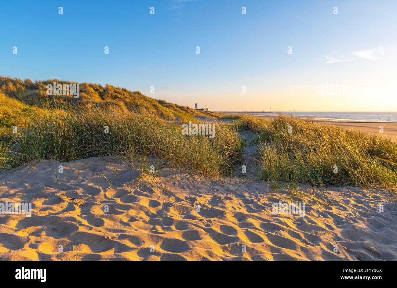 Dunes de sable avec de l'herbe au coucher du soleil sur la plage de la mer du Nord, Oostende (Ostende), Flandre, Belgique. Banque D'Images