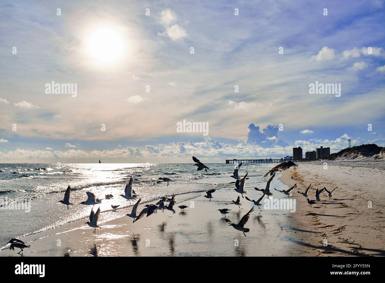 Silhouette d'oiseaux au décollage sur la plage avec pier derrière, Saint Andrews State Park, Florida, USA, 2019 Banque D'Images