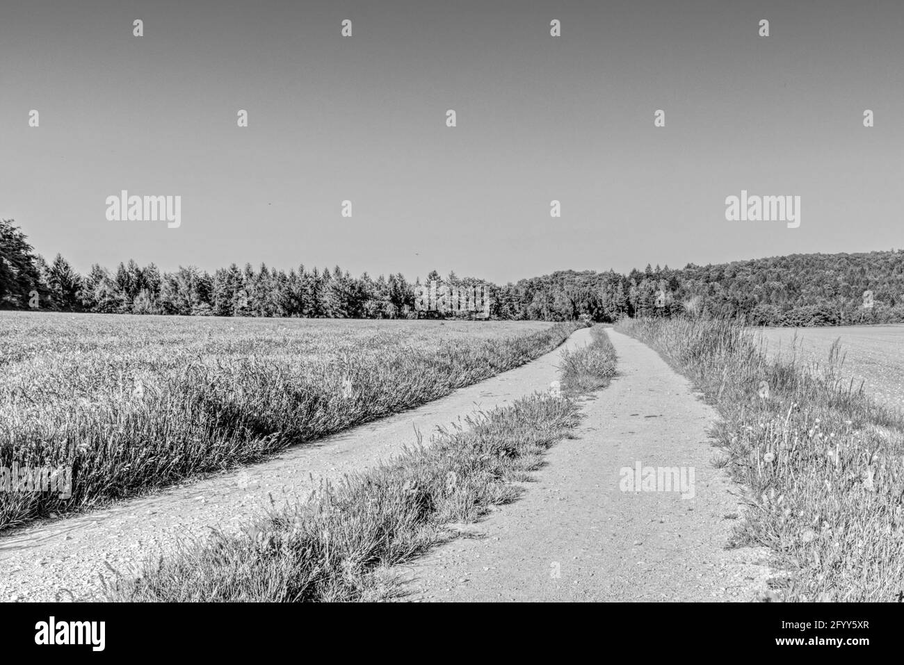 vue panoramique sur une piste de terre dans les champs Banque D'Images