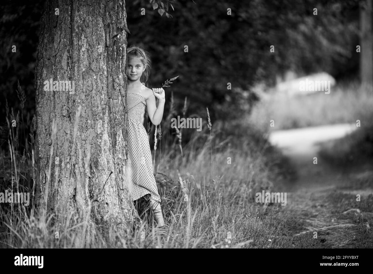 Une petite fille regarde derrière un pin dans le parc. Banque D'Images