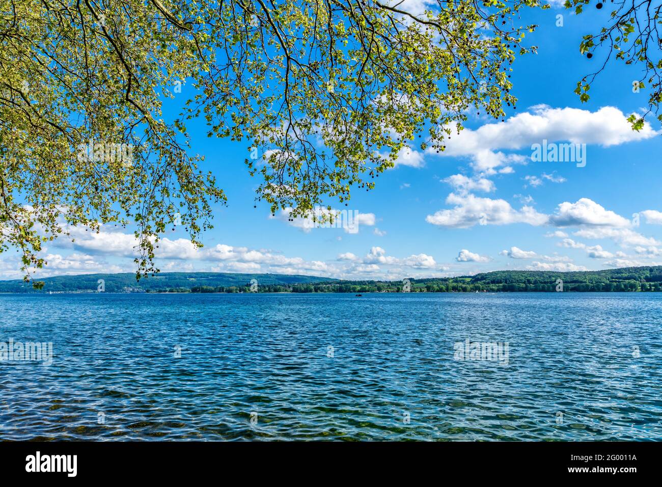 Vacances d'été sur le magnifique lac de Constance avec le bleu soleil ciel Banque D'Images