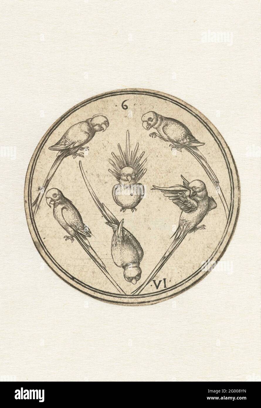 Parrot Six Jeu De Cartes Rond Une Carte A Jouer Ronde Avec Six Perroquets Dans Un Cercle Au Sommet Du Chiffre Arabe 6 Et Au Bas Du Chiffre Romain Vi Photo Stock