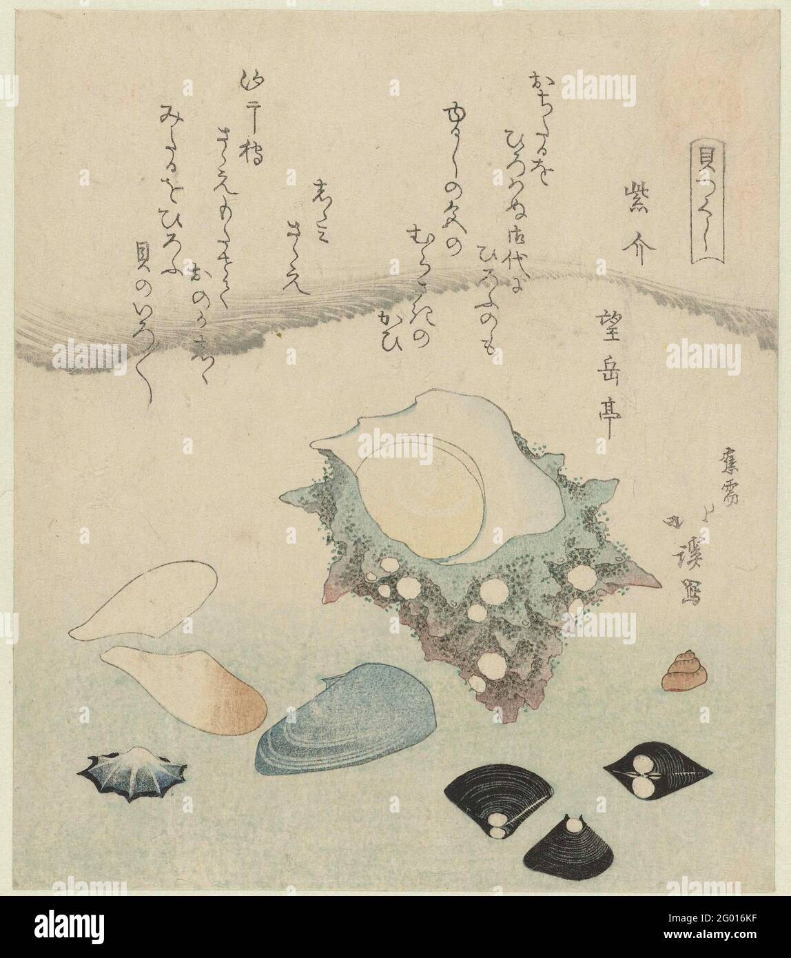 Carapace pourpre, carapace de vénus d'eau douce et carapace de turban; MuraSakigai Shijimi Sazae; UNE série de carapace; Kaitsukushi. Une grande pelle à turban (Sazae) avec trois coquilles de vénus d'eau douce et de plus petites coquilles. Avec deux poèmes. Banque D'Images