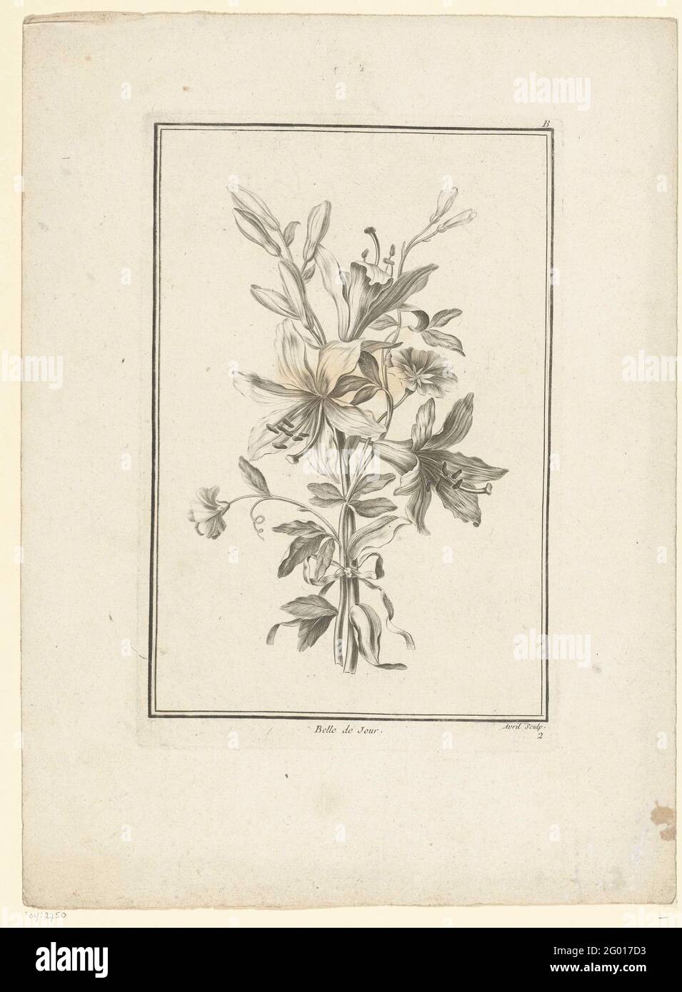 Bouquet de lys; Belle de jour; IIe Cahier de Bouquets. Les fleurs sont  attachées ensemble avec un ruban. En haut à droite, indiquez la lettre B  Photo Stock - Alamy