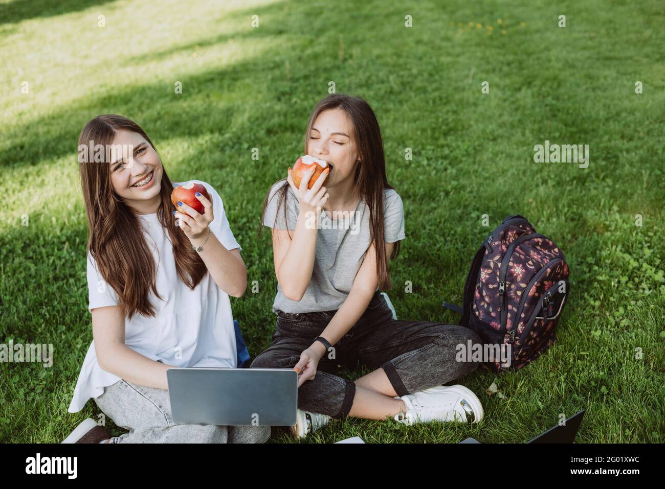 Deux étudiantes souriantes sont assises dans le parc sur l'herbe avec des livres et des ordinateurs portables, manger des pommes, étudier et préparer des examens. Distan Banque D'Images