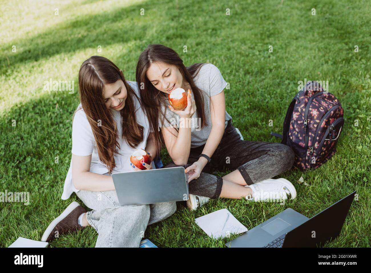 Deux étudiantes souriantes sont assises dans le parc sur l'herbe avec des livres et des ordinateurs portables, manger des pommes, étudier et préparer des examens. Distan Banque D'Images